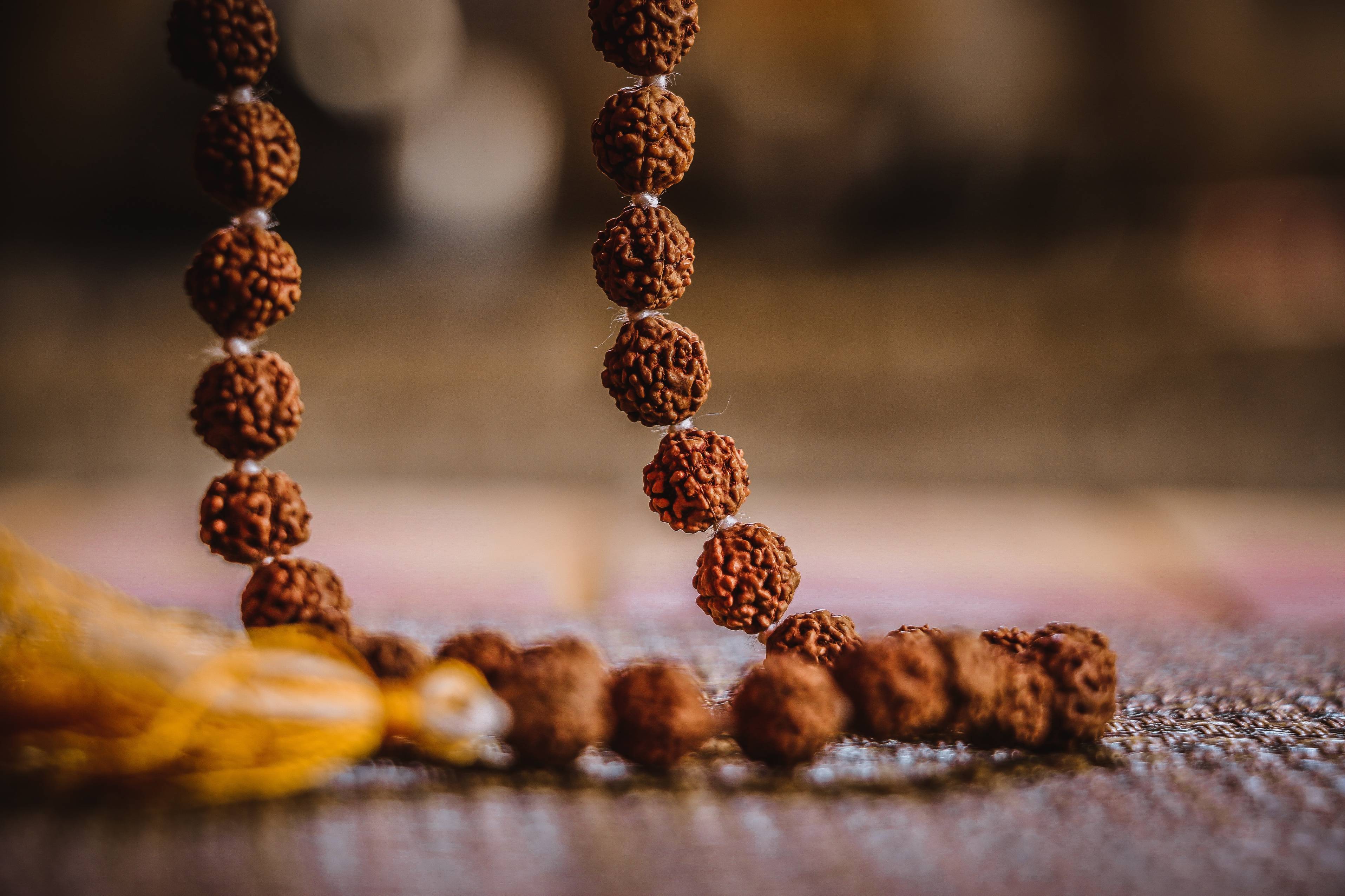 Dhwani Astro | Rudraksha and Its Significance: Everything You Need to Know