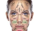 Face Reading